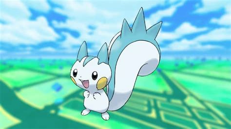 pachirisu smogon|pachirisu pokémon go.